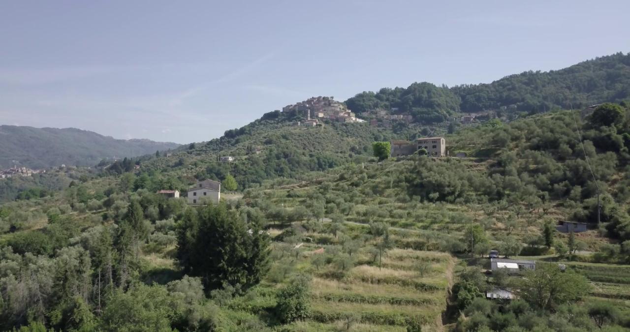 Luxury Villa In Tuscany - Casa Di Nonnas เปสเชีย ภายนอก รูปภาพ